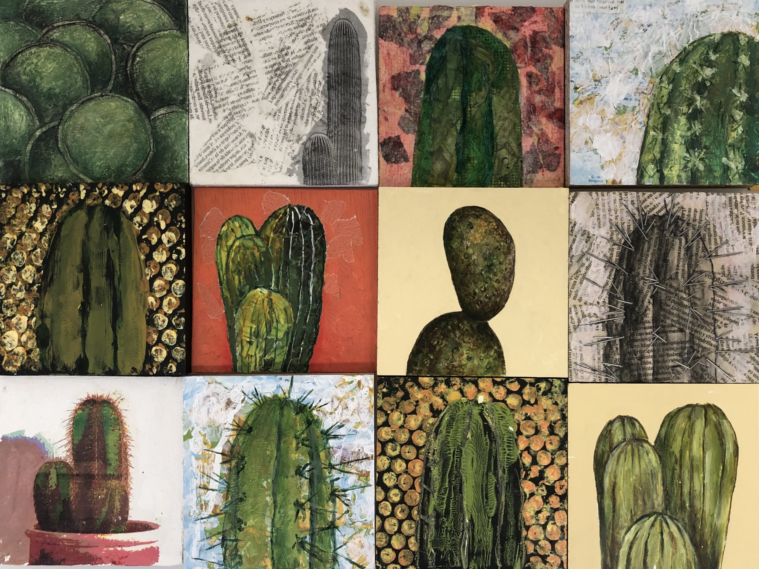 Cactus