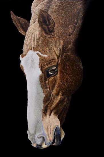 Caballo Pastando