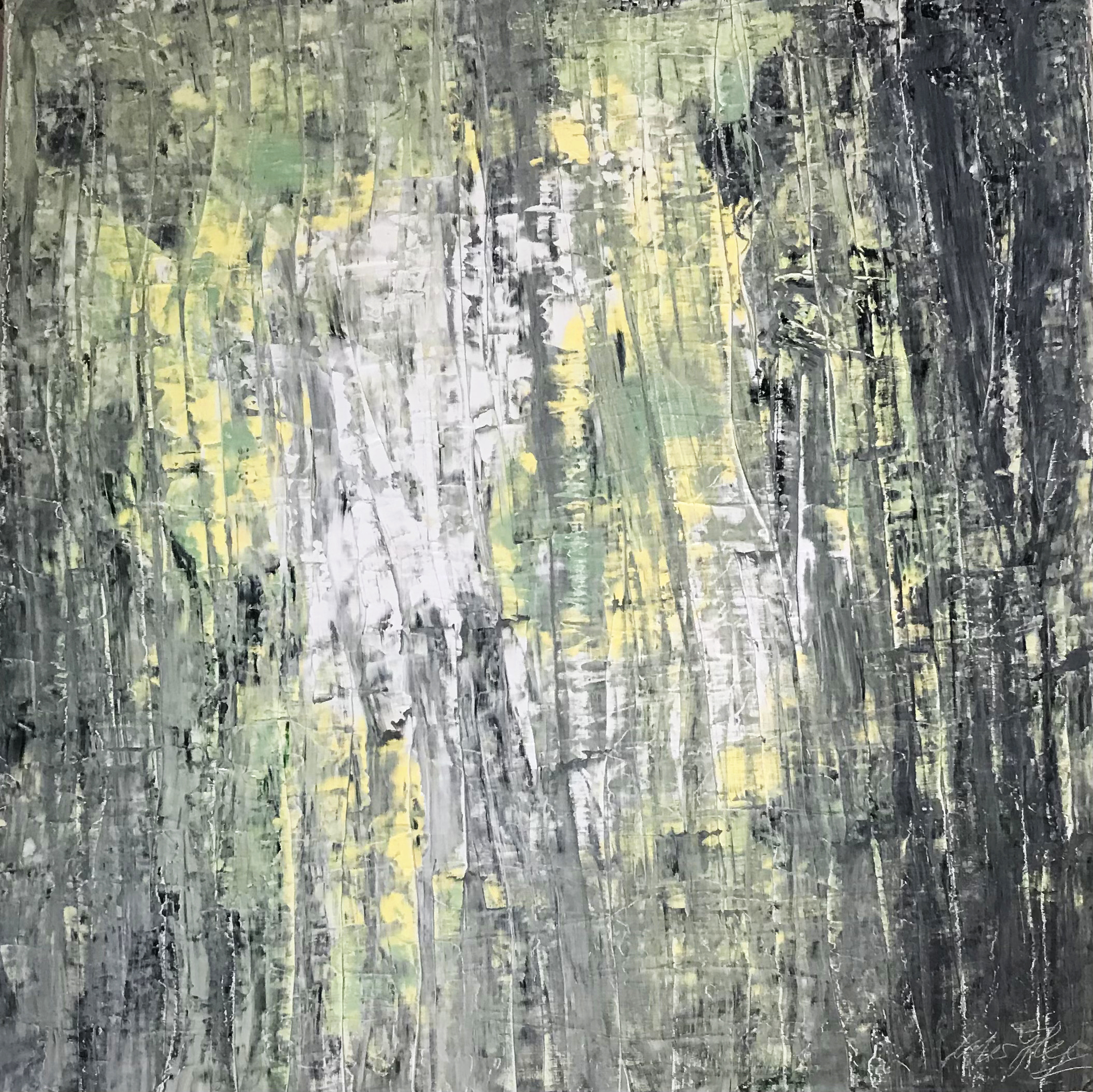 Forest Line