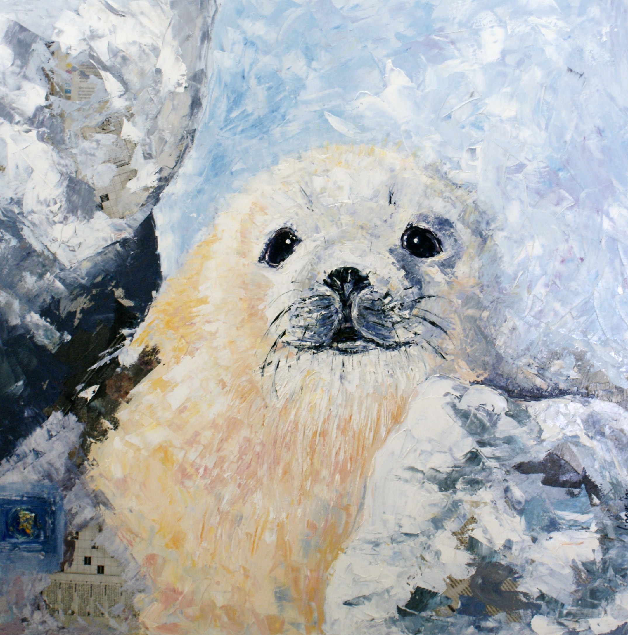 FOCA