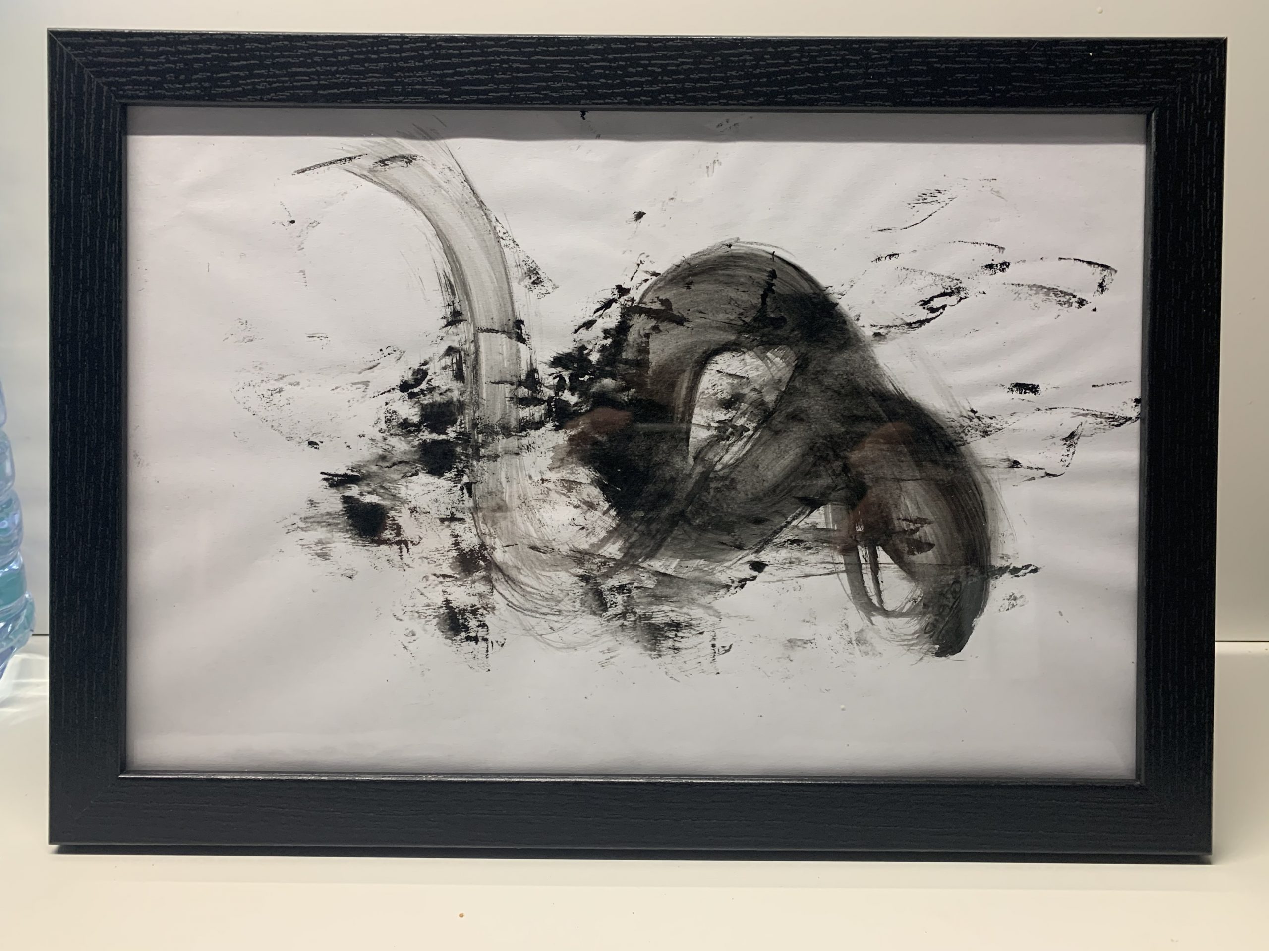 El cisne negro