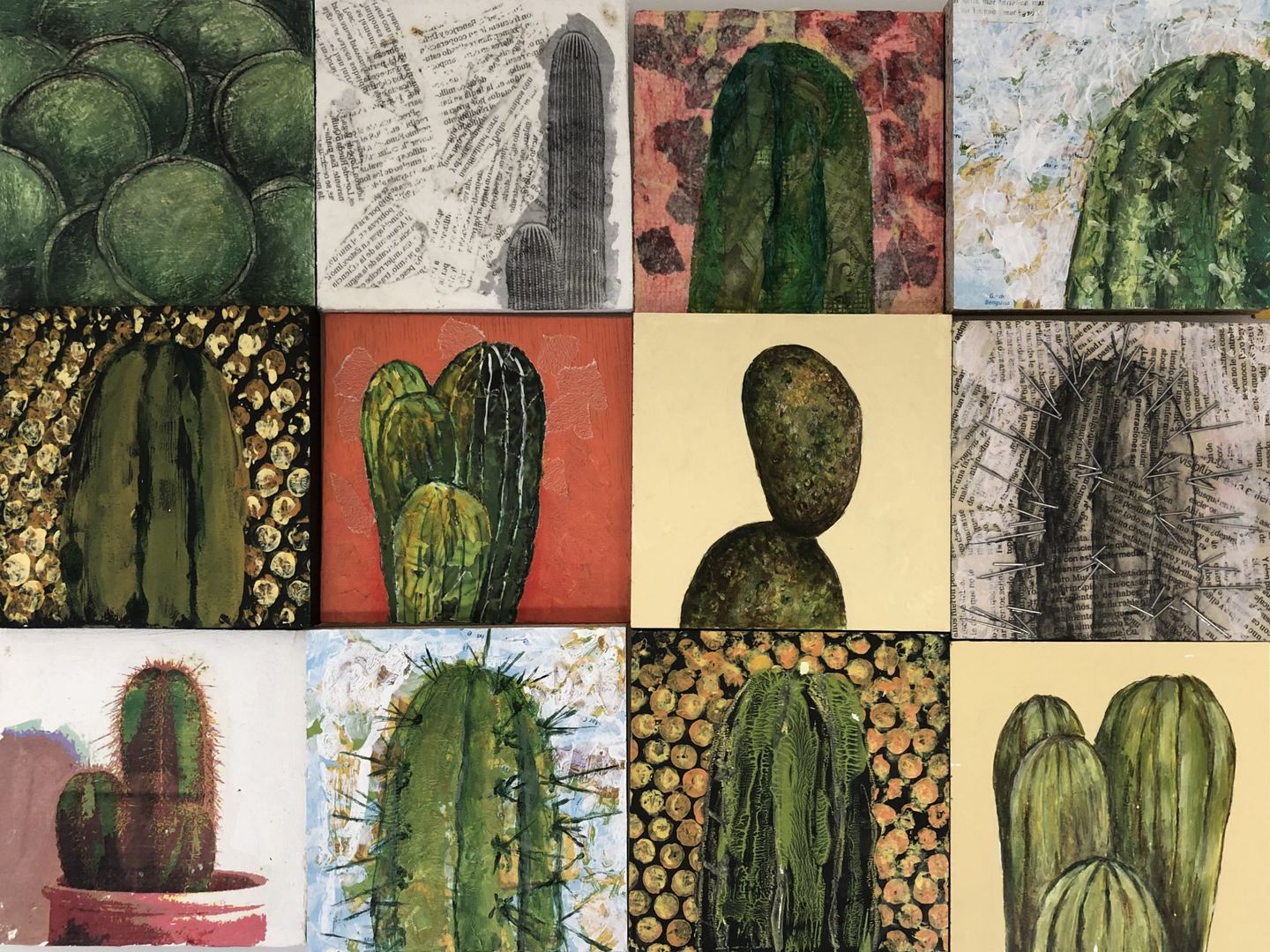 Cactus — Rosa Trejo