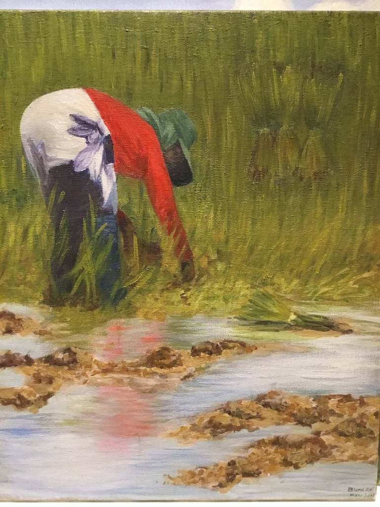 Campesina camboyana — Paloma RN