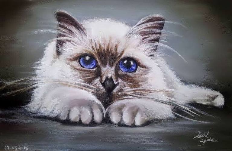 Gatito — David Gaudin
