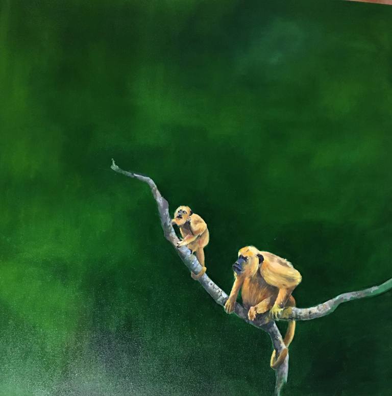 MONOS SOBRE RAMA — M.Moranta