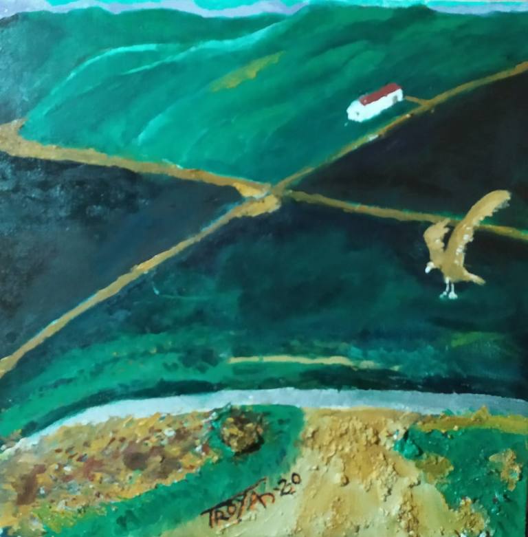 Águila cazando — ANDRES OJEDA TROYA