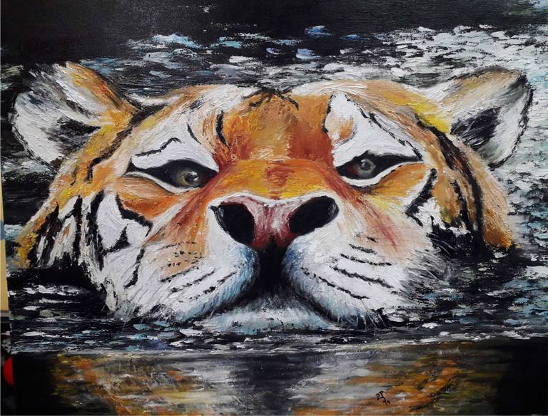 Tigre en el agua — Roci