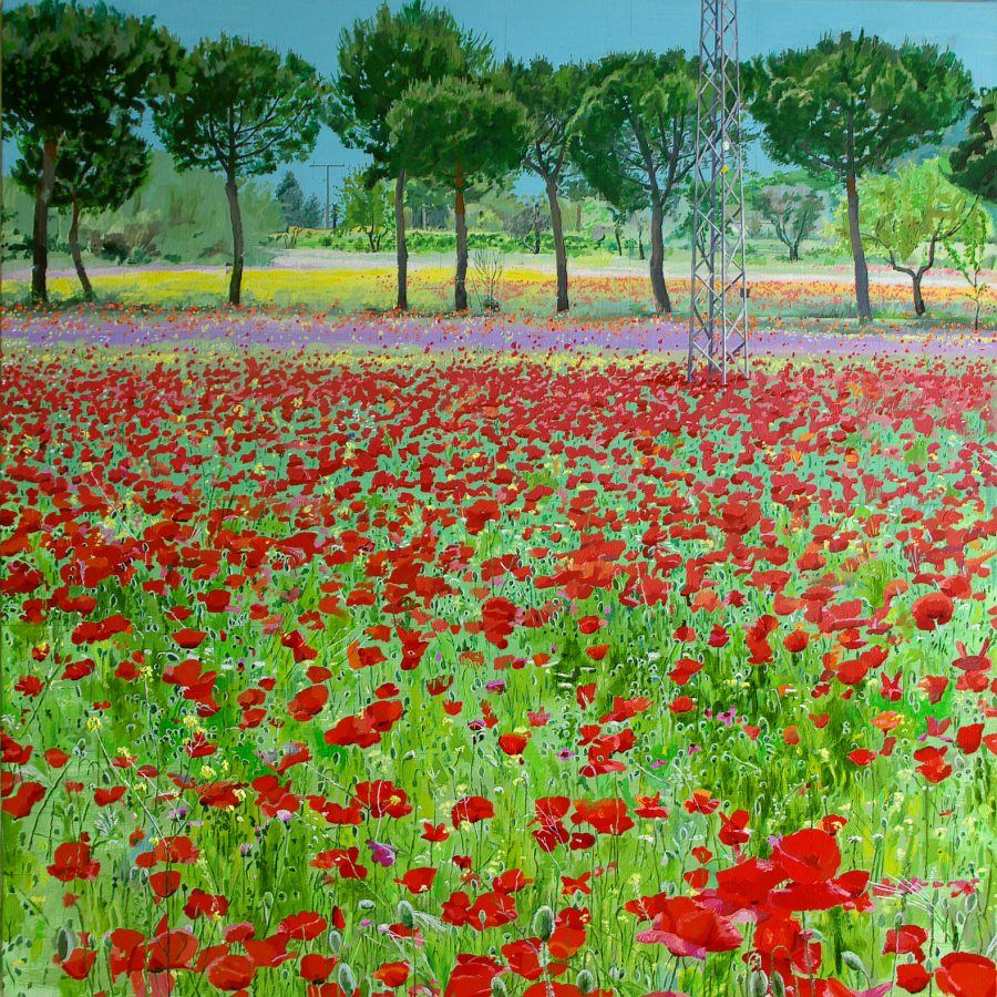 Extrarradio con amapolas — Jose Herrero