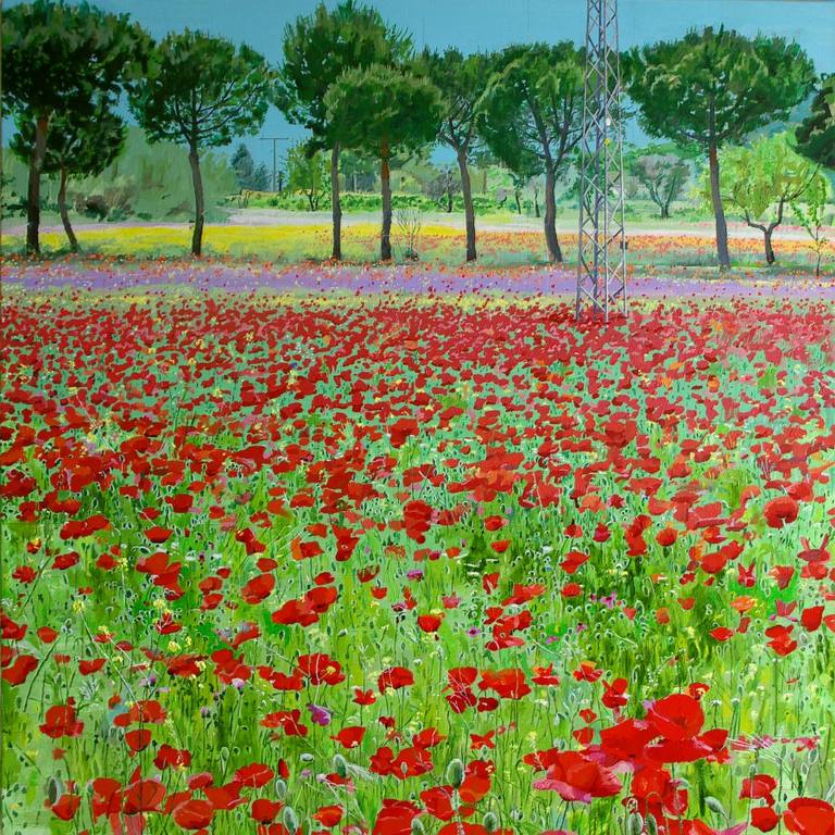 Extrarradio con amapolas — Jose Herrero