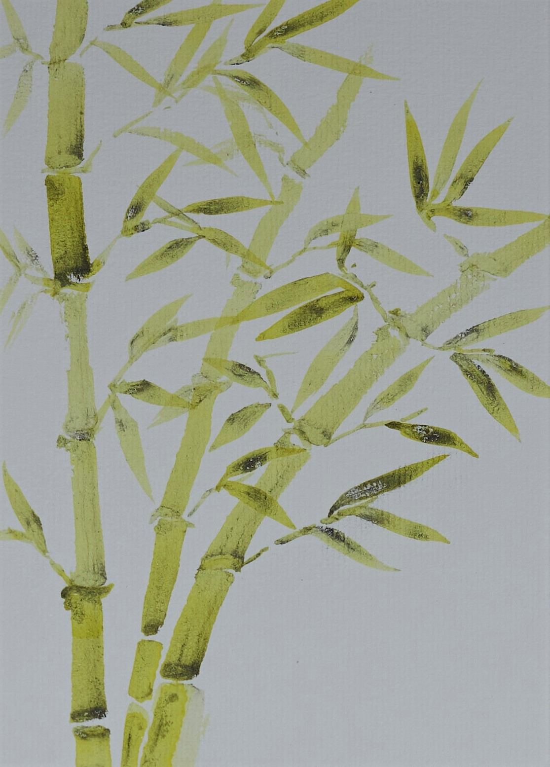 Bambú — Raquel White