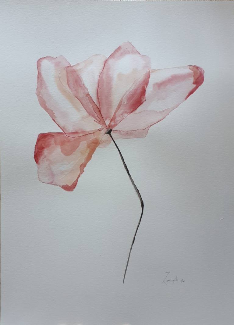 Transparencia — Zoraida