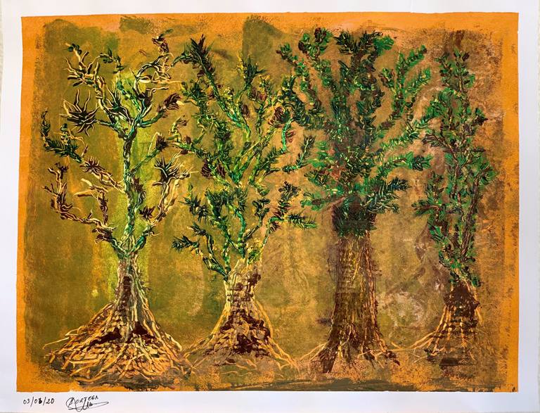 Bosque — Joao Aix