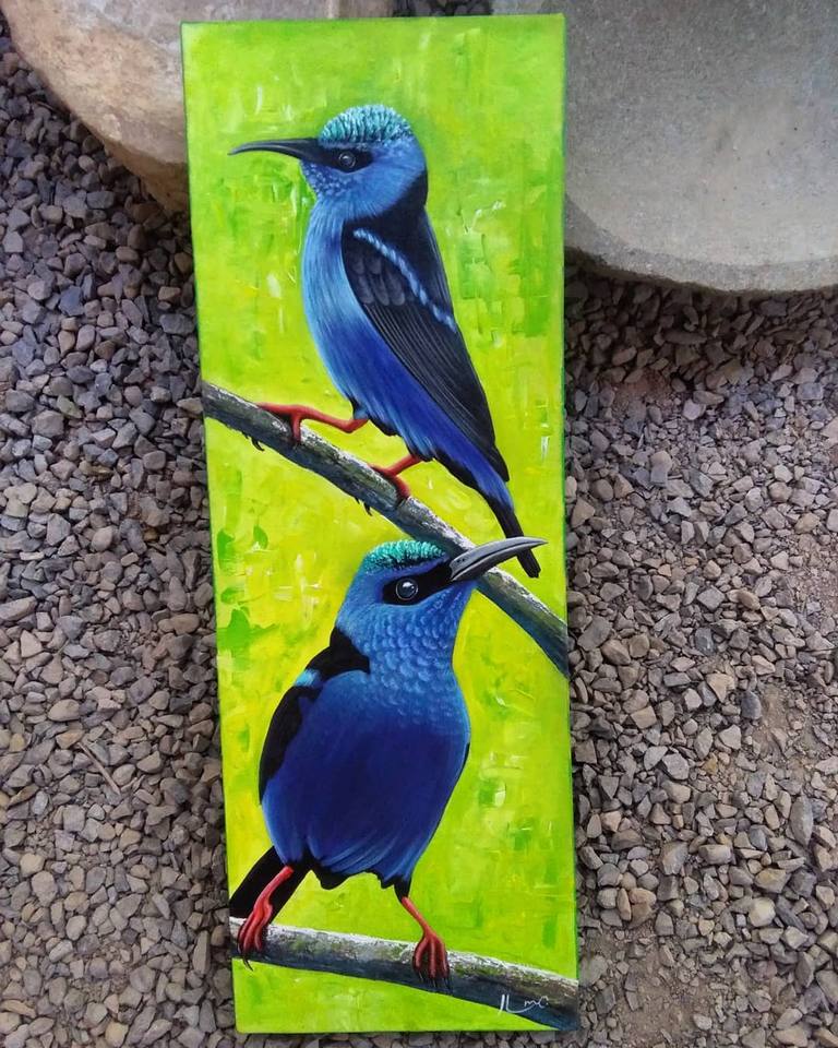 Vida Silvestre Costa Rica #1 — Leo de Magallanes