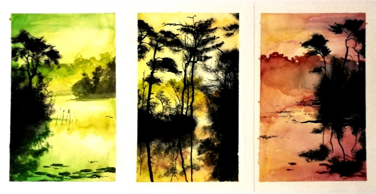 Composición pantano — Antonio J Rojas