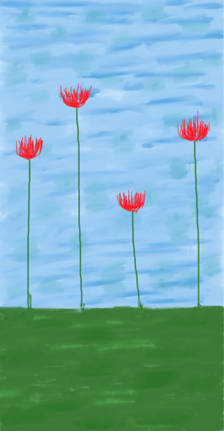 Amapolas — Miguel Alba