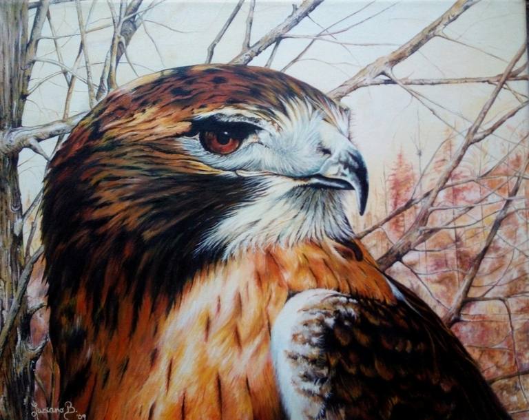 Halcón — Luciano Martin Bravo