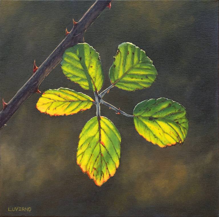 Un rastro de luz — LuvernoArt