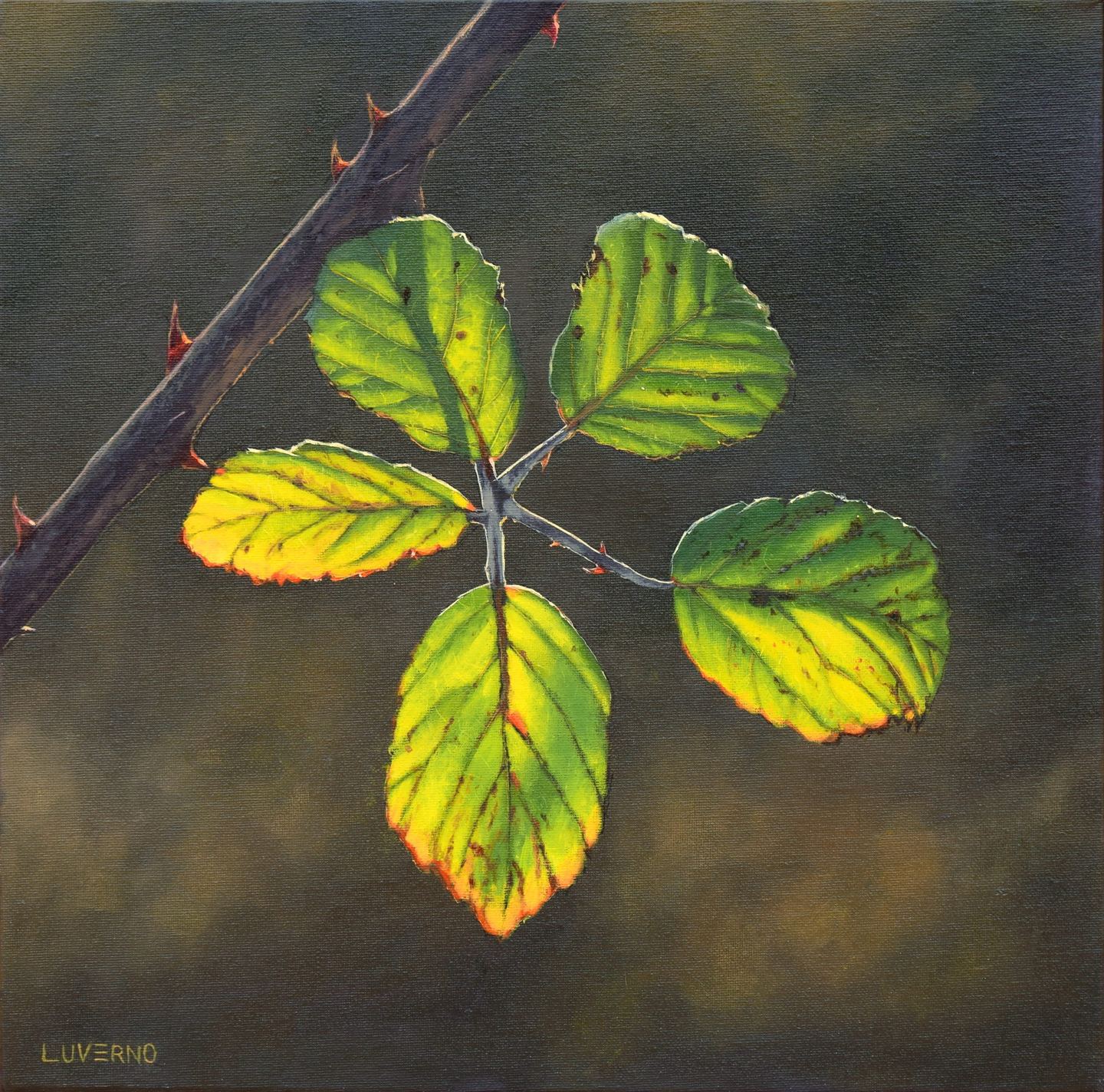 Un rastro de luz — LuvernoArt
