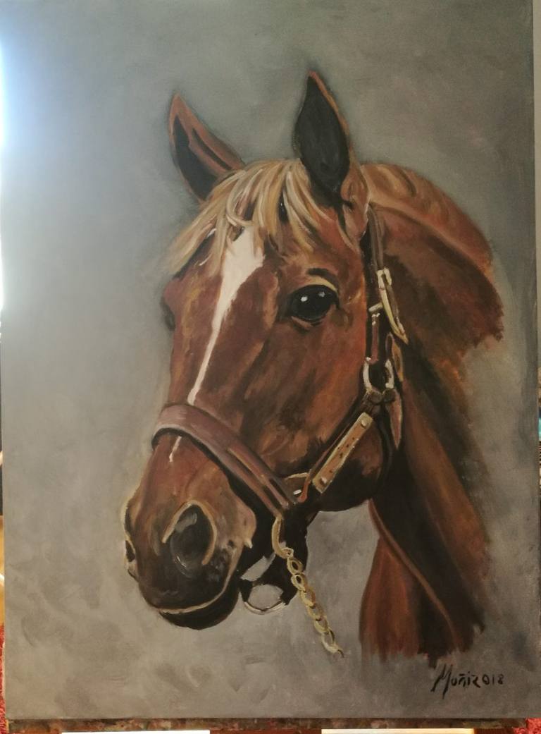 Caballo pura sangre — Francisco Jose Sierra Muniz